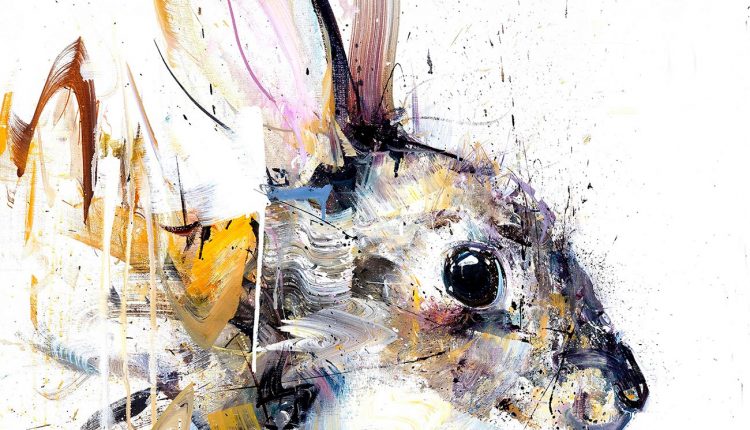 dave white rabbit