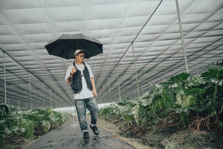 龜背芋,龜背芋照顧,龜背芋與她們的產地,職人,植栽,HamacaSole,哈漫克,懶人鞋