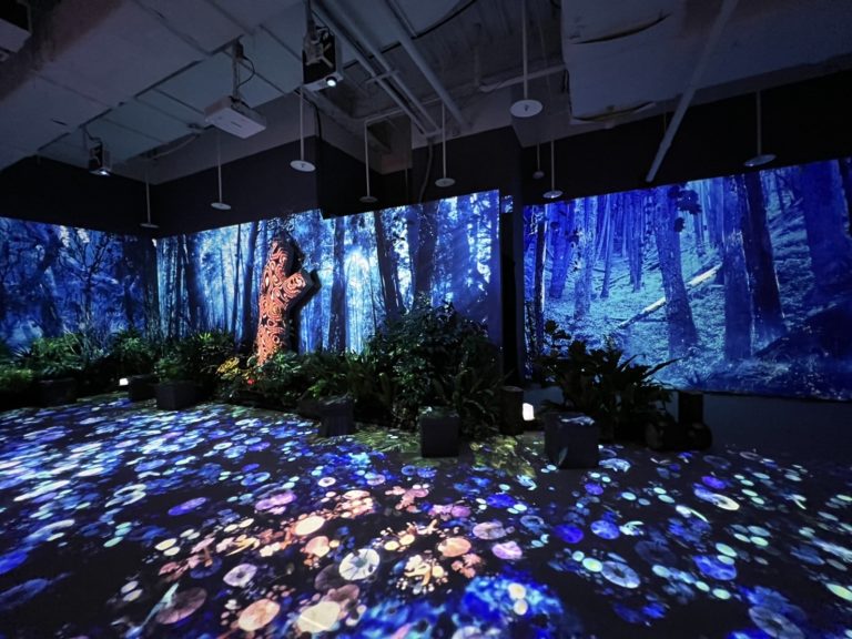 台北信義區裡的森林元宇宙 #離線時區 3 尺高神木光雕帶你體驗四種意境