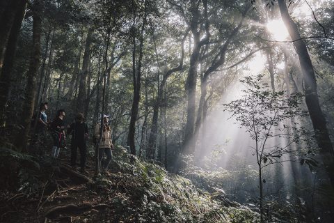 高島縱走