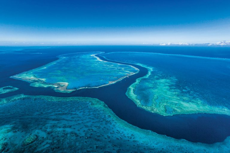 Patagonia,海洋,保護,RE-THINK,淨灘