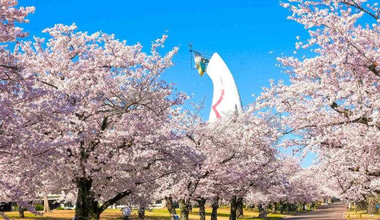 萬博紀念公園, SAKURA EXPO, 大阪, 日本, OSAKA WHEEL, 摩天輪,