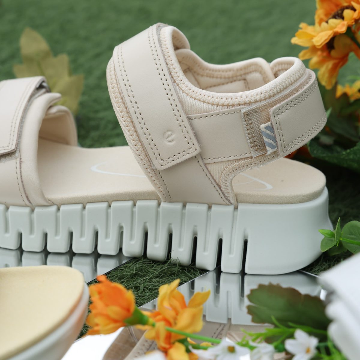 ecco (10 - 35)