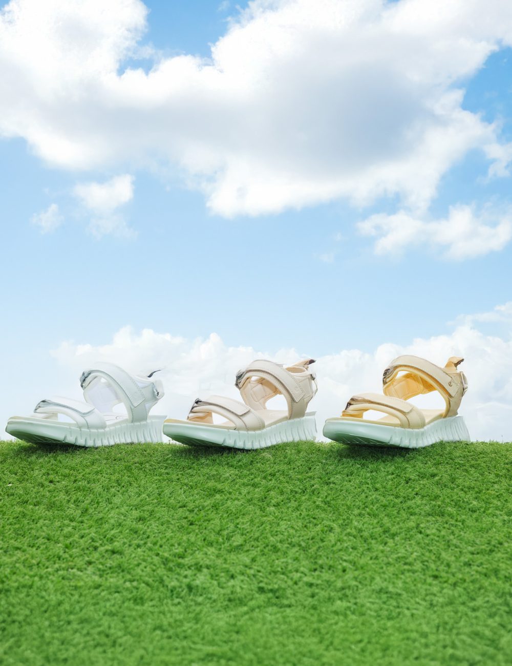 ecco (24 - 35)