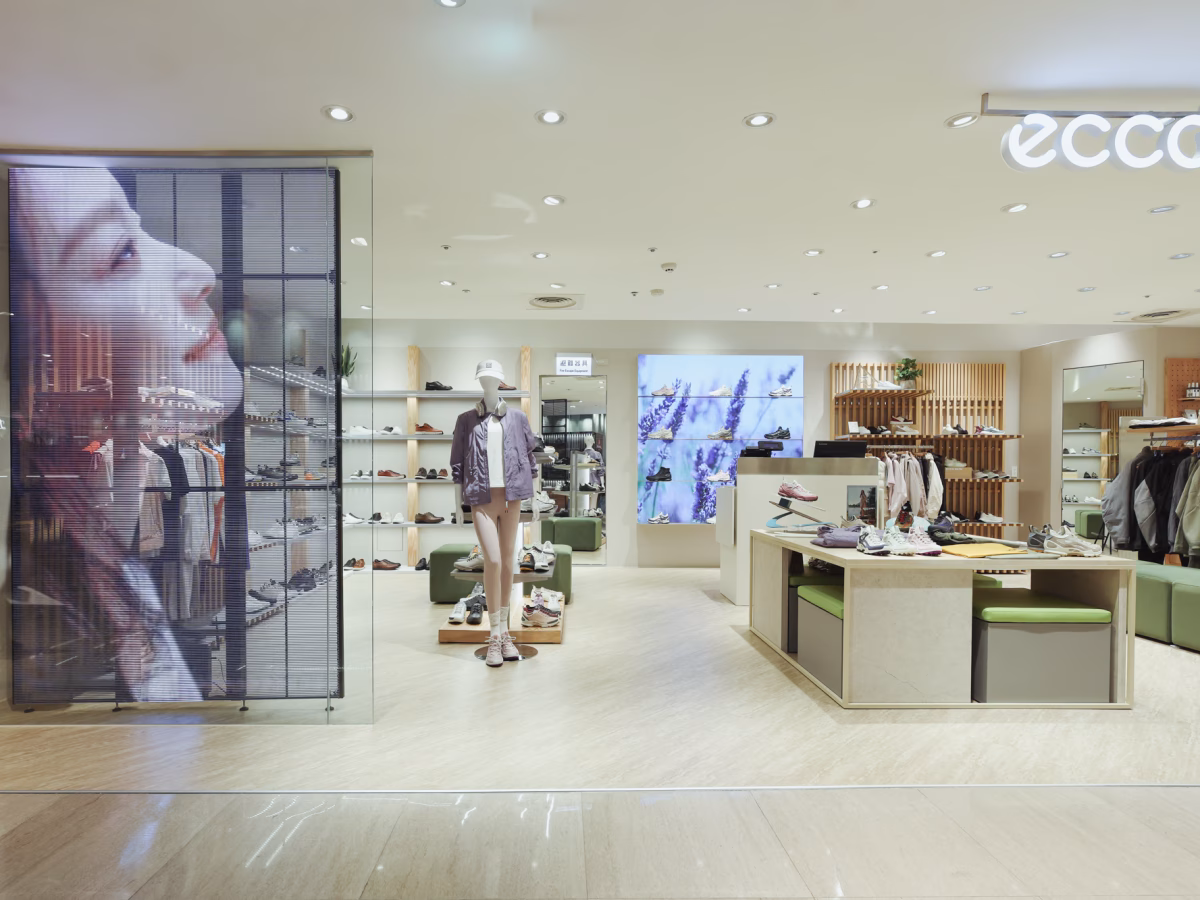 ecco sogo (6 – 74)