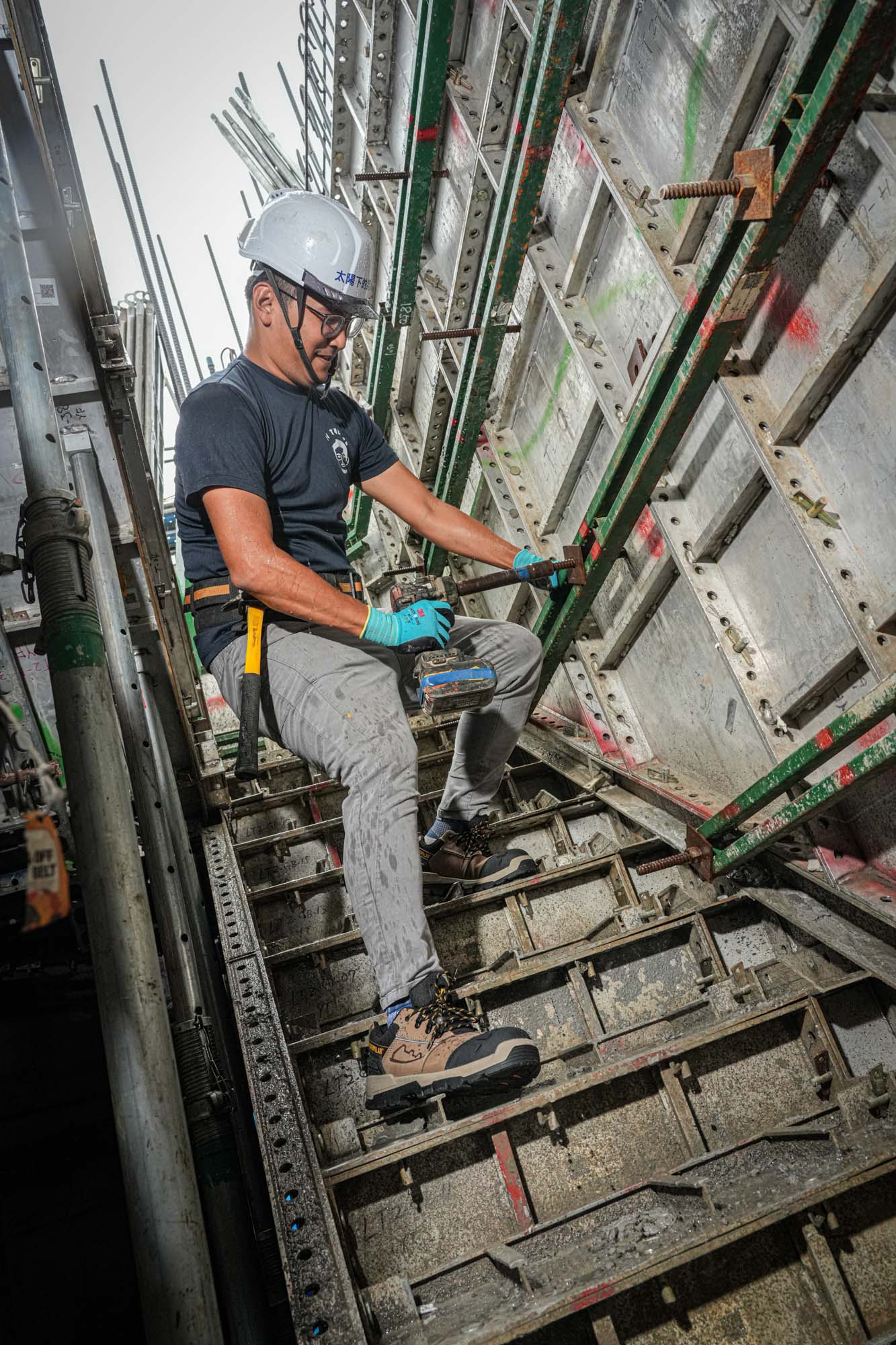 cat ray 太陽下 (1 - 16)