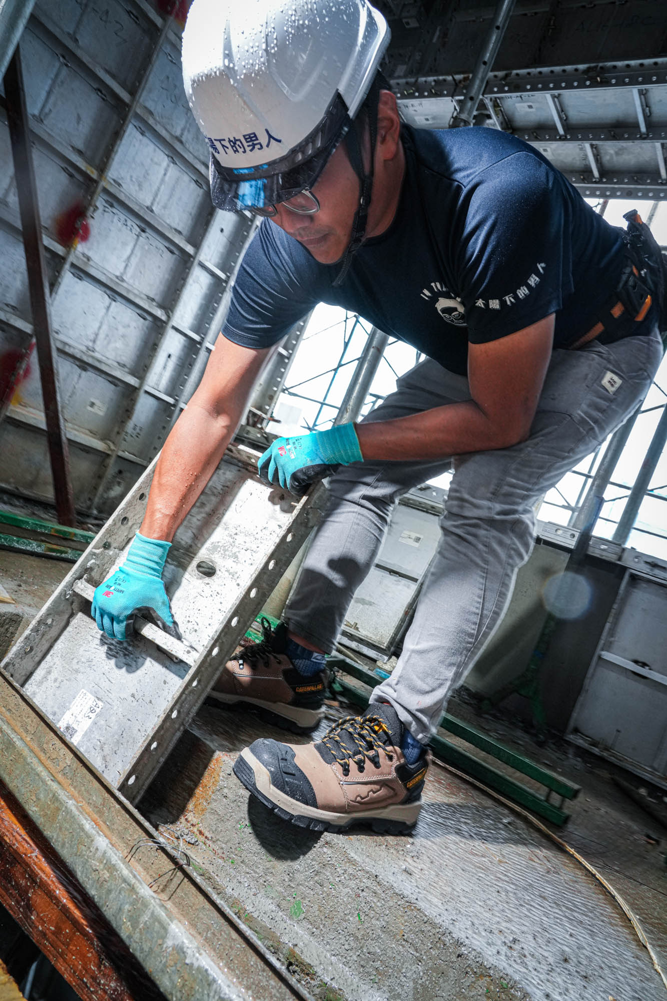 cat ray 太陽下 (7 - 16)