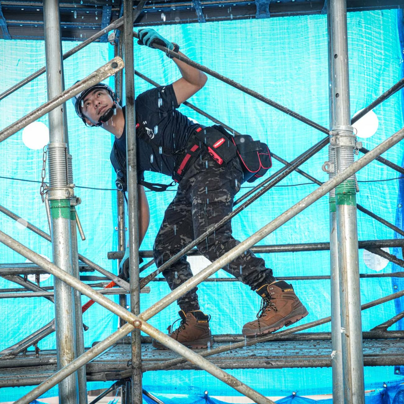 cat ray 太陽下 ray (2 - 14) cat ray 太陽下 ray (2 - 14)