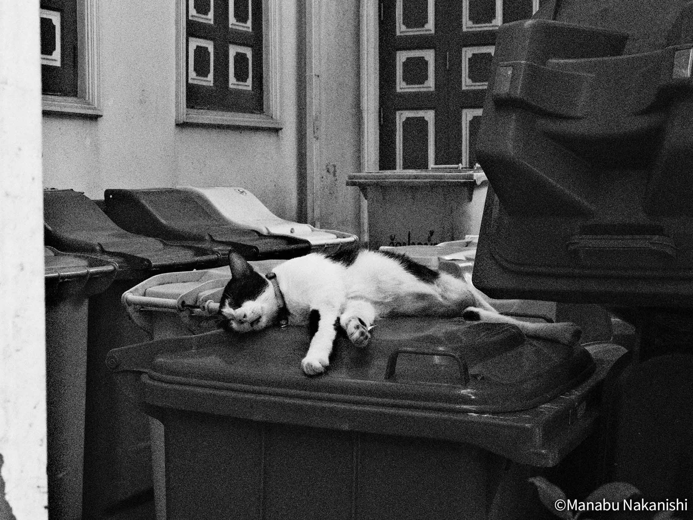 藤原浩, fragment design, Fujifilm, GFX100RF, 中片幅, 聯名, 相機