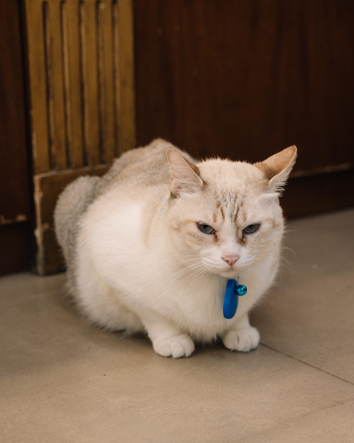 superga italy (25 - 30)