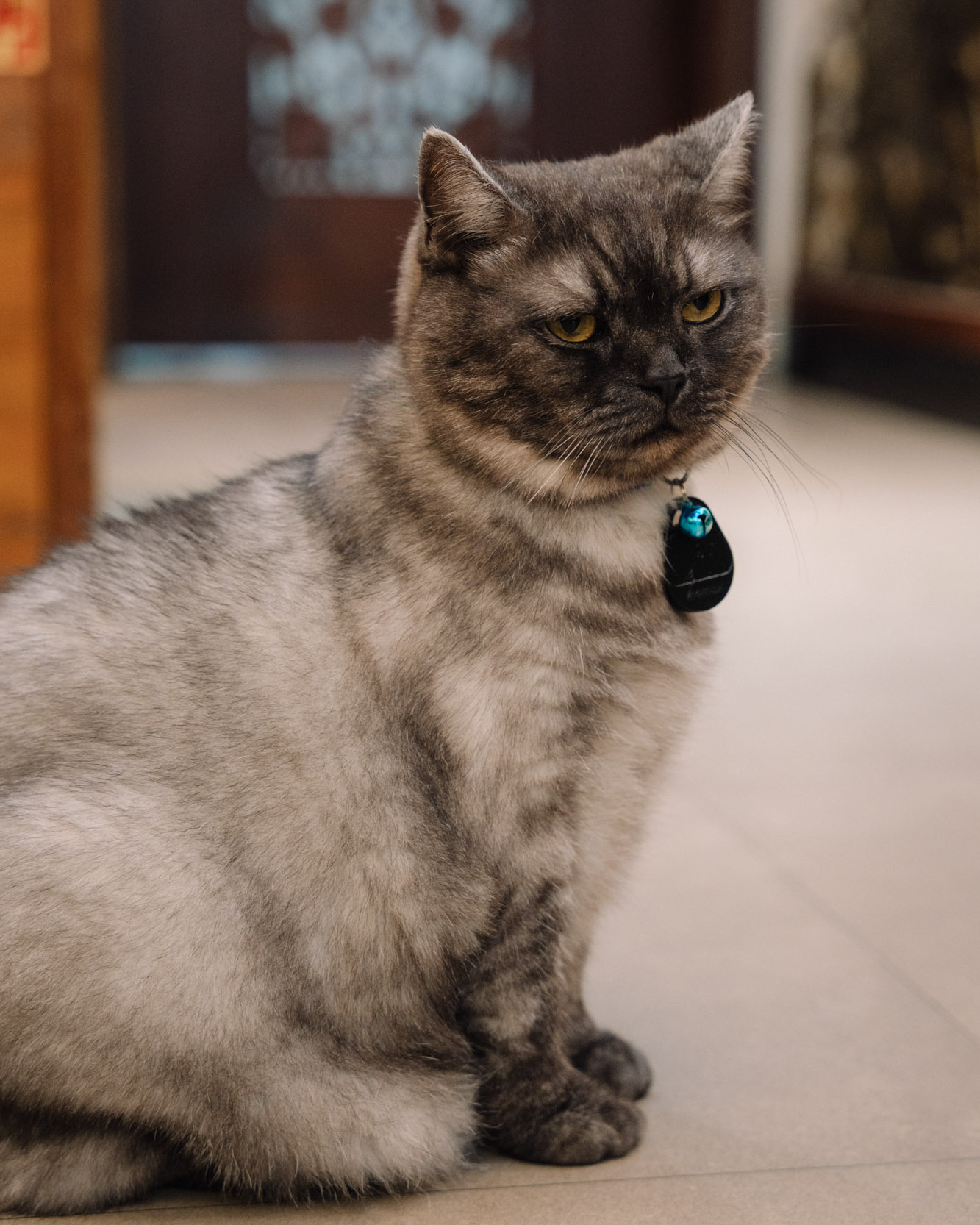 superga italy (26 - 30)