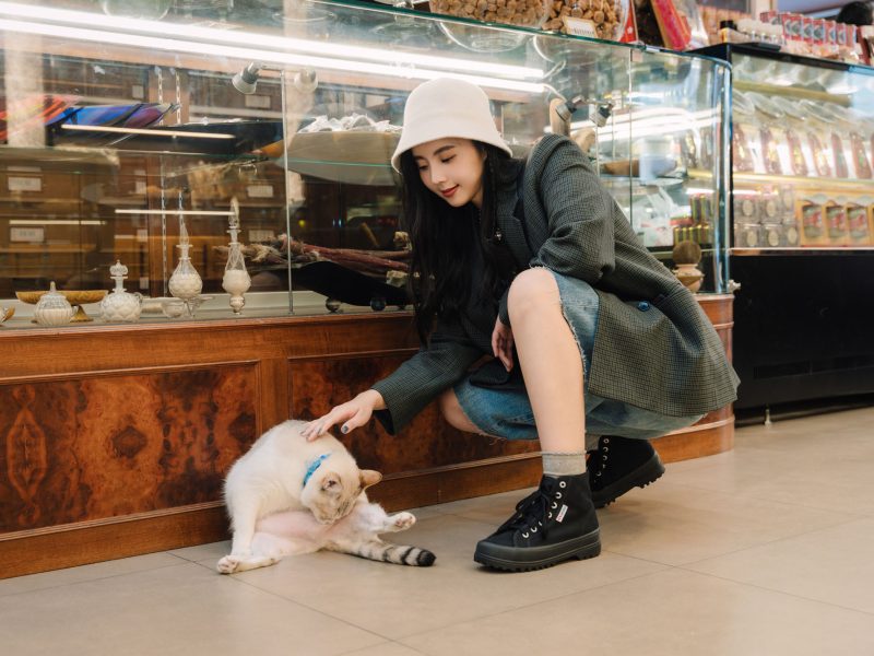 superga italy cat (2 – 3)