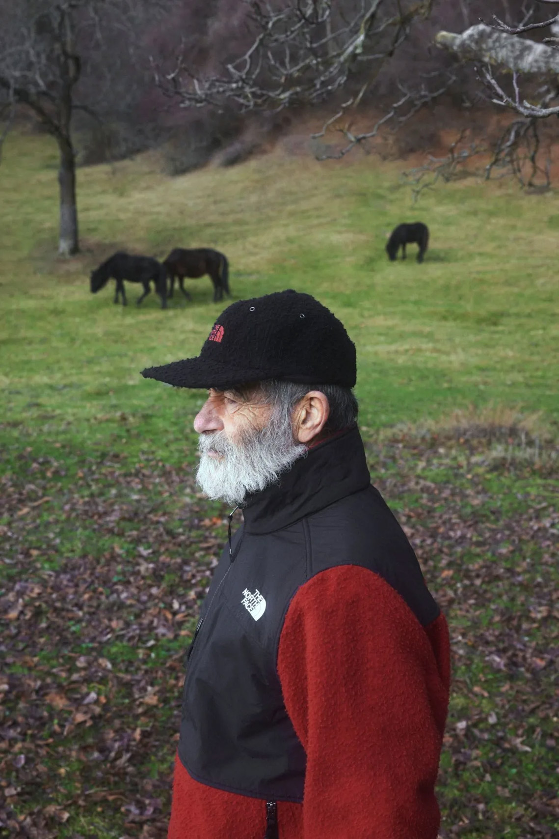 The North Face, Casentino Wool, 羊毛, Denali Jacket, Verto Alpine GTX, Gorpcore, 義大利, 五分割帽, 戶外