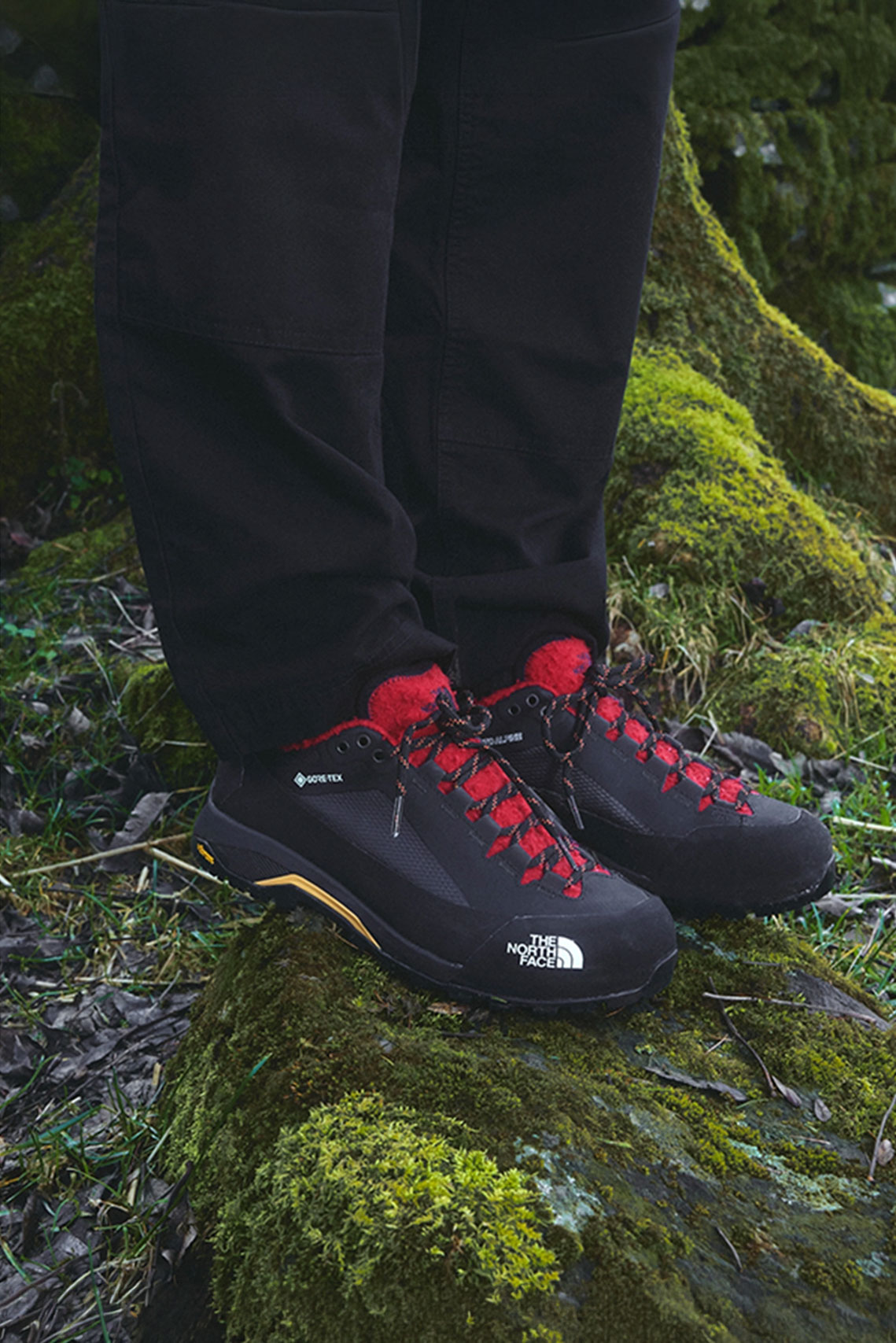 The North Face, Casentino Wool, 羊毛, Denali Jacket, Verto Alpine GTX, Gorpcore, 義大利, 五分割帽, 戶外